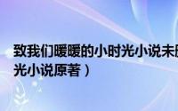 致我们暖暖的小时光小说未删减完整版（致我们暖暖的小时光小说原著）