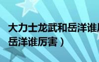 大力士龙武和岳洋谁厉害一点（大力士龙武和岳洋谁厉害）