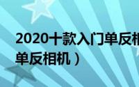 2020十款入门单反相机推荐（十款最好入门单反相机）