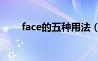 face的五种用法（face的所有形式）