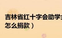 吉林省红十字会助学金（吉林红十字会手机上怎么捐款）