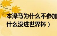 本泽马为什么不参加2018世界杯（本泽马为什么没进世界杯）