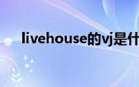 livehouse的vj是什么（vj是什么职业）