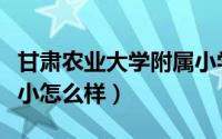 甘肃农业大学附属小学网上报名（甘肃农大附小怎么样）