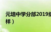 元培中学分部2019级（元培中学升学率怎么样）