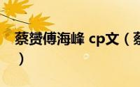 蔡赟傅海峰 cp文（蔡赟傅海峰为啥不当教练）