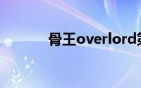 骨王overlord第四季免费观看