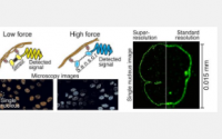研究团队开发纳米级力传感器并改进高精度显微镜技术