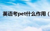 英语考pet什么作用（英语PET考试是什么）