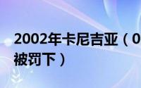 2002年卡尼吉亚（02世界杯卡尼吉亚为什么被罚下）