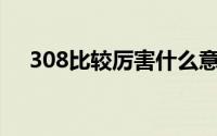 308比较厉害什么意思（厉害什么意思）