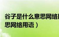 谷子是什么意思网络用语图片（谷子是什么意思网络用语）