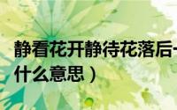 静看花开静待花落后一句（静看花开笑看花落什么意思）