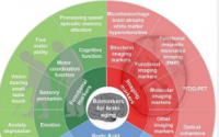 大脑衰老生物标志物框架衰老生物标志物联盟的共识声明