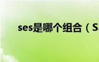 ses是哪个组合（S.E.N.S是什么组合）