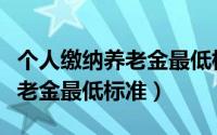 个人缴纳养老金最低标准是多少（个人缴纳养老金最低标准）