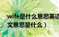 wife是什么意思英语翻译成中文（wife的中文意思是什么）