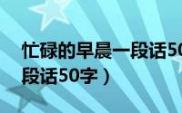 忙碌的早晨一段话50字左右（忙碌的早晨一段话50字）