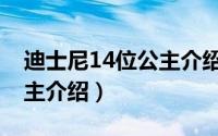 迪士尼14位公主介绍及图片（迪士尼14位公主介绍）