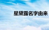 星黛露名字由来（星黛露的寓意）