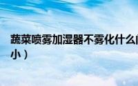 蔬菜喷雾加湿器不雾化什么问题（蔬菜加湿器怎么调喷雾大小）