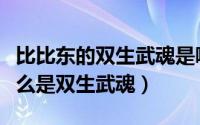 比比东的双生武魂是哪两个武魂（比比东为什么是双生武魂）