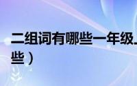 二组词有哪些一年级上册语文（用二组词有哪些）