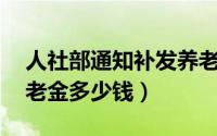 人社部通知补发养老金（65岁一次性补发养老金多少钱）