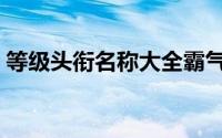 等级头衔名称大全霸气（十个等级头衔名称）