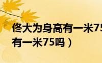 佟大为身高有一米75吗多少斤（佟大为身高有一米75吗）