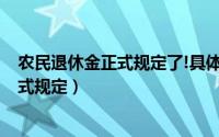 农民退休金正式规定了!具体是怎么规定的?（农民退休金正式规定）