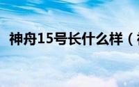 神舟15号长什么样（神舟十五号飞船介绍）