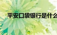 平安口袋银行是什么（口袋银行是什么）