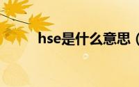 hse是什么意思（HS是什么意思）