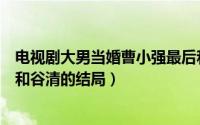 电视剧大男当婚曹小强最后和谁在一起了（大男当婚曹小强和谷清的结局）