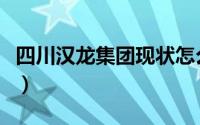 四川汉龙集团现状怎么样（四川汉龙集团现状）