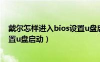 戴尔怎样进入bios设置u盘启动（戴尔电脑怎么进入bios设置u盘启动）