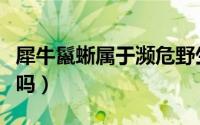 犀牛鬣蜥属于濒危野生动物吗（犀牛鬣蜥有毒吗）