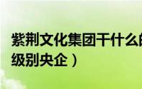 紫荆文化集团干什么的（紫荆文化集团是什么级别央企）