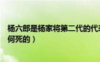 杨六郎是杨家将第二代的代表人物（杨家将里的杨六郎是如何死的）