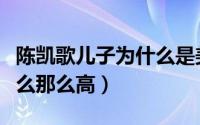 陈凯歌儿子为什么是美国人（陈凯歌儿子为什么那么高）