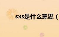 sxs是什么意思（SXE是什么意思）