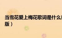 当雪花爱上梅花歌词是什么意思（当雪花爱上梅花原唱完整版）