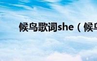 候鸟歌词she（候鸟歌曲尚雯婕寓意）