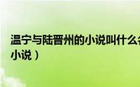 温宁与陆晋州的小说叫什么名字（有温宁和陆晋洲的是什么小说）