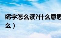 鹆字怎么读?什么意思?（挊字怎么念意思是什么）