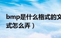 bmp是什么格式的文件格式（bmp是什么格式怎么弄）