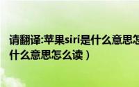 请翻译:苹果siri是什么意思怎么读英文（请翻译：苹果siri是什么意思怎么读）