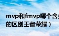 mvp和fmvp哪个含金量更高（fmvp和mvp的区别王者荣耀）