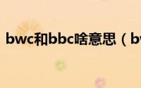 bwc和bbc啥意思（bwc和bbc是什么意思）